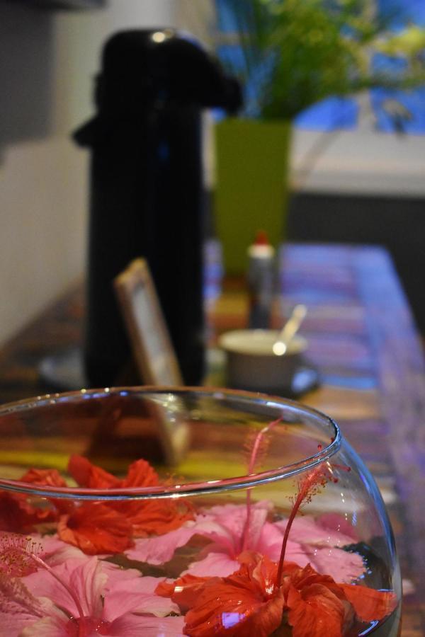 ホテル Hibiscus Center Búzios エクステリア 写真
